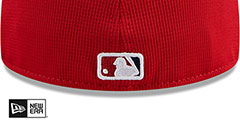 Nationals 2024 BATTING PRACTICE Fitted Hat by New Era - 4th View