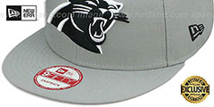 Panthers NFL TEAM-BASIC SNAPBACK Grey-Black Hat by New Era - 4th View