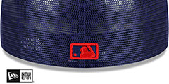 Rangers BATTING PRACTICE TRUCKER Royal Fitted Hat by New Era - 4th View