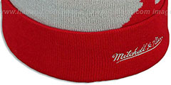 Red Wings PAINTBRUSH BEANIE by Mitchell and Ness - 4th View