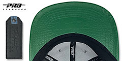 Celtics TEAM-BASIC STRAPBACK Grey Green Hat by Pro Standard - 5th View